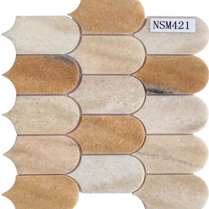 DS-NSM-421