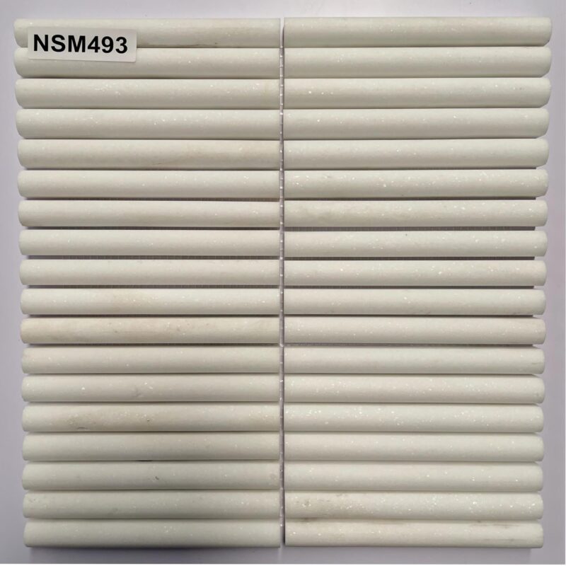DS-NSM-493