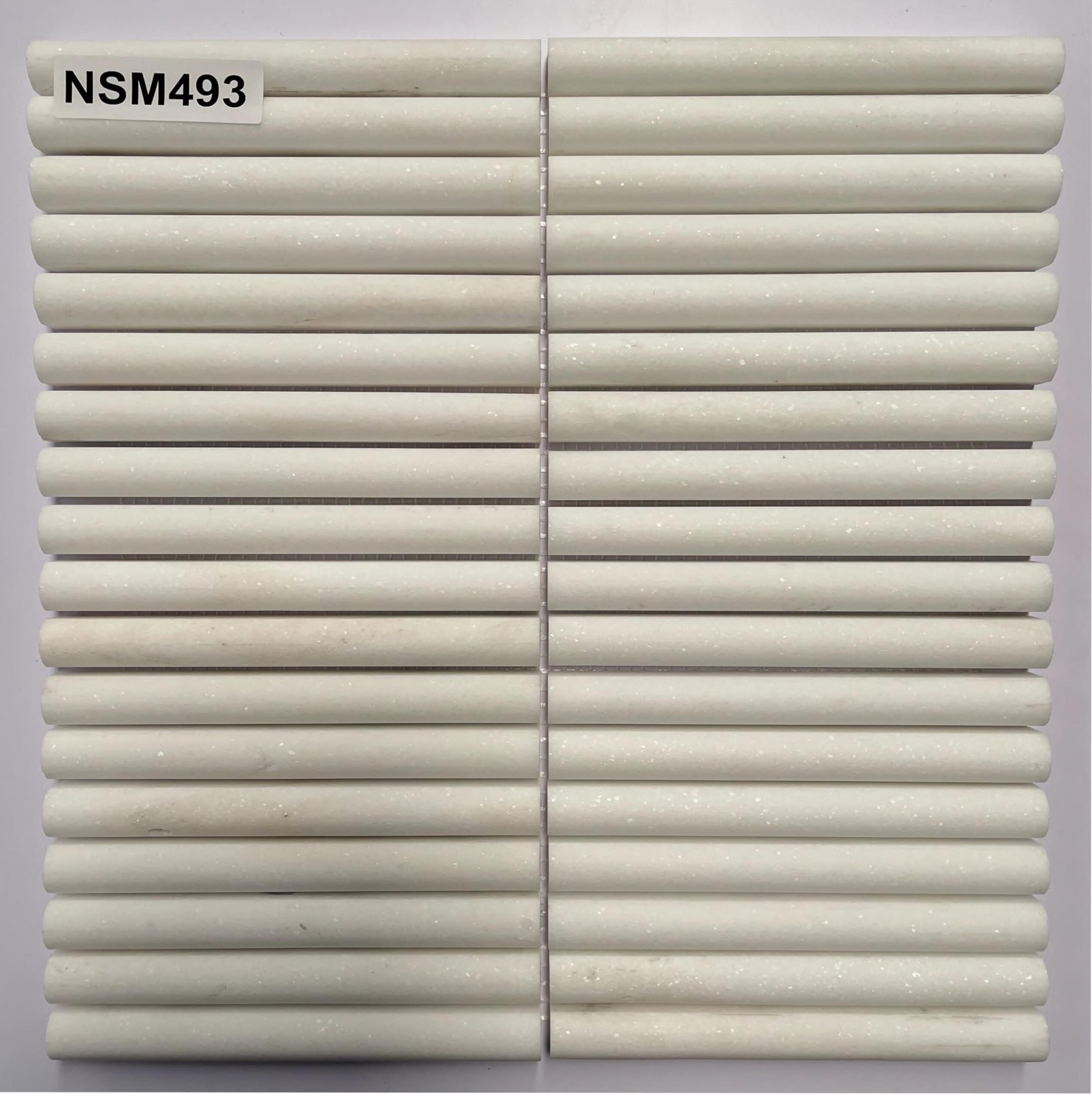 DS-NSM-493 1 DS-NSM-493