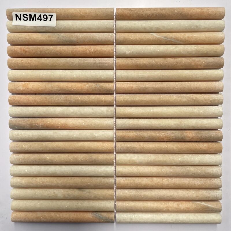 DS-NSM-497