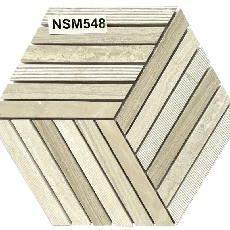 DS-NSM-548