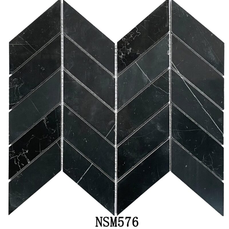 DS-NSM-576