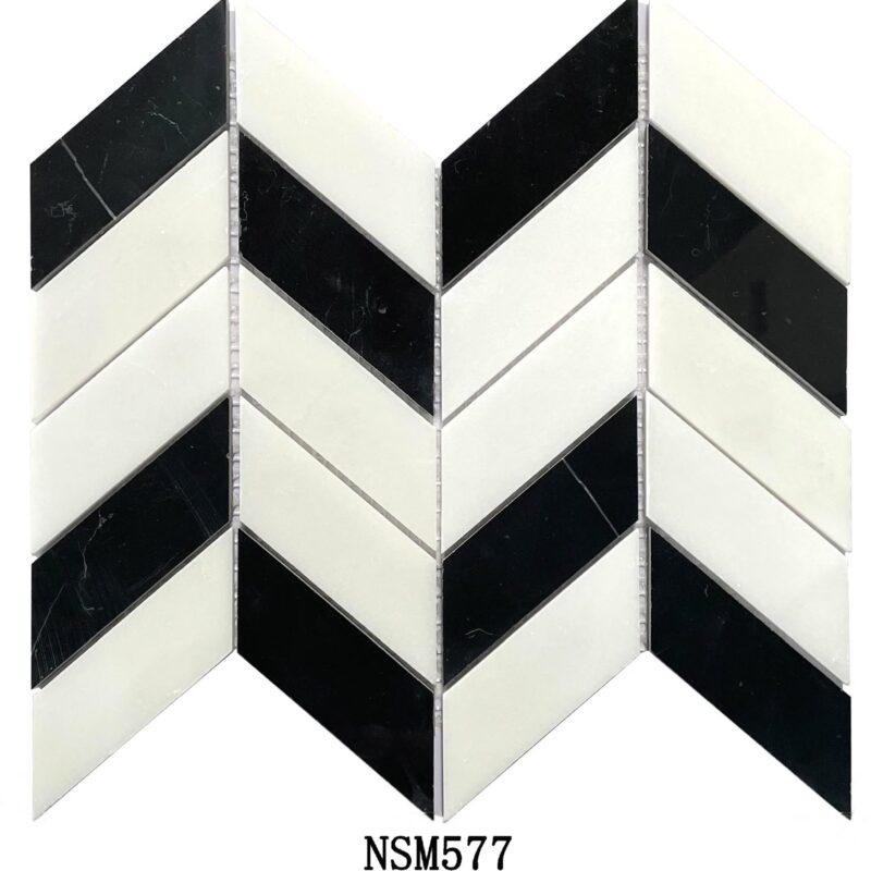 DS-NSM-577